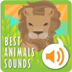 Best Animals Sounds icône