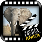 非洲動物聲音 圖標