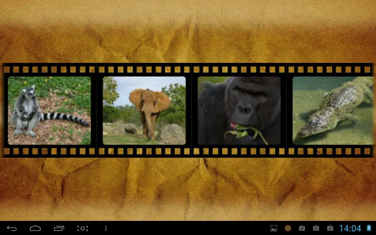 Best African Animals Sound APK for Android Download Best African Animals Sound APK for Android Download