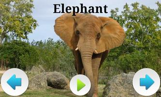 3 Schermata Best African Animals Sound
