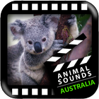 澳大利亞的動物聲音 圖標