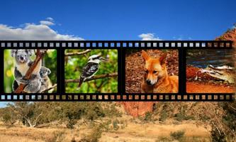 Best Australian Animals Sounds Affiche