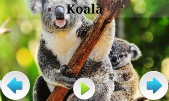 Best Australian Animals Sounds capture d'écran 1
