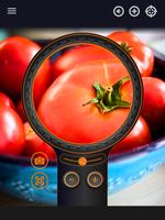 Magnifier syot layar 2