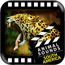 Best South American Animals APK