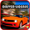 Driver License: Split Lanes APK