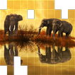 Beautiful Puzzle For Advanced