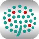 SadInfo APK