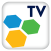 PROMAX TV Online APK