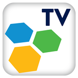 PROMAX TV Online icon