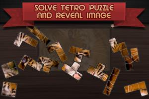 Tetro Puzzle poster