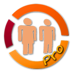 Datezone Pro icono