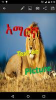 amharic text on picture Affiche