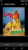amharic text on picture screenshot 2