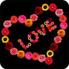 Draw Flowers Names shapes art иконка