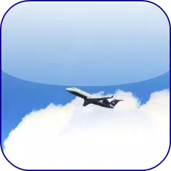 Plane Video 3D Wallpaper