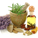 Plantas Medicinales Medicina Natural APK