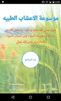 موسوعة الاعشاب الطبيه bài đăng