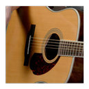 Play and Learn Guitar APK