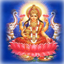 APK Diwali Laxmi Pujan