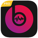 Free Music Player PRO 2018 APK