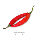 Spice Story APK