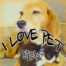 APK I Love Pet