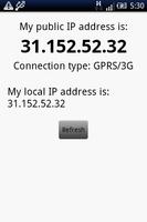 1 Schermata My IP address