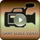 Gray Scale Video APK
