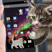 Cat on Phone Screen. Prank your friends icon