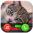 My Cat Fake Video Call Prank ikon