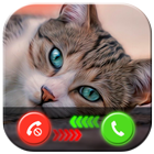 My Cat Fake Video Call Prank icône