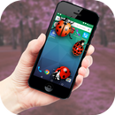 Ladybug in Phone Funny joke-APK