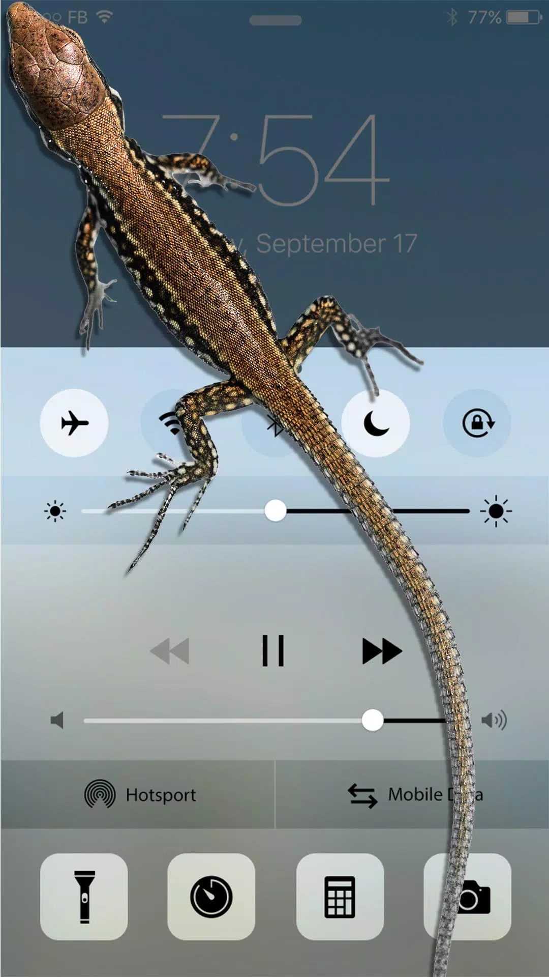 Lizard in phone funny joke APK for Android Download