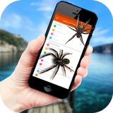 Spider in Phone Funny Joke أيقونة