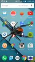 Spider in Phone Funny Joke постер