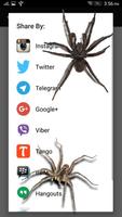 Spider in Phone Funny Joke Ekran Görüntüsü 2