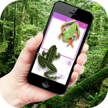 ”Frog on Phone Prank