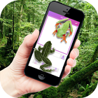 Frog on Phone Prank-icoon