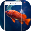 Launcher Theme for Huawei P9
