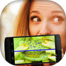Bacteria Scanner Simulator APK