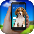 Dog On Screen