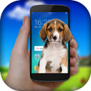Dog On Screen APK