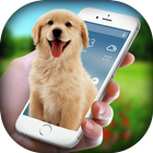 Dog in Phone - Dog On Screen Funny Joke আইকন