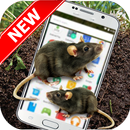 Mouse On Screen - Funny Prank APK