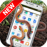 Earthworm On Screen -Fun Prank