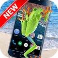 Frog On Screen - Funny Prank