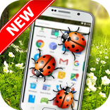 Ladybugs On Screen-Funny Prank