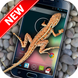 Lizard On Screen - Funny Prank