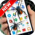 Spider On Screen - Funny Prank